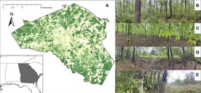 Local factors influence the wild bee functional community at the urban-forest interface